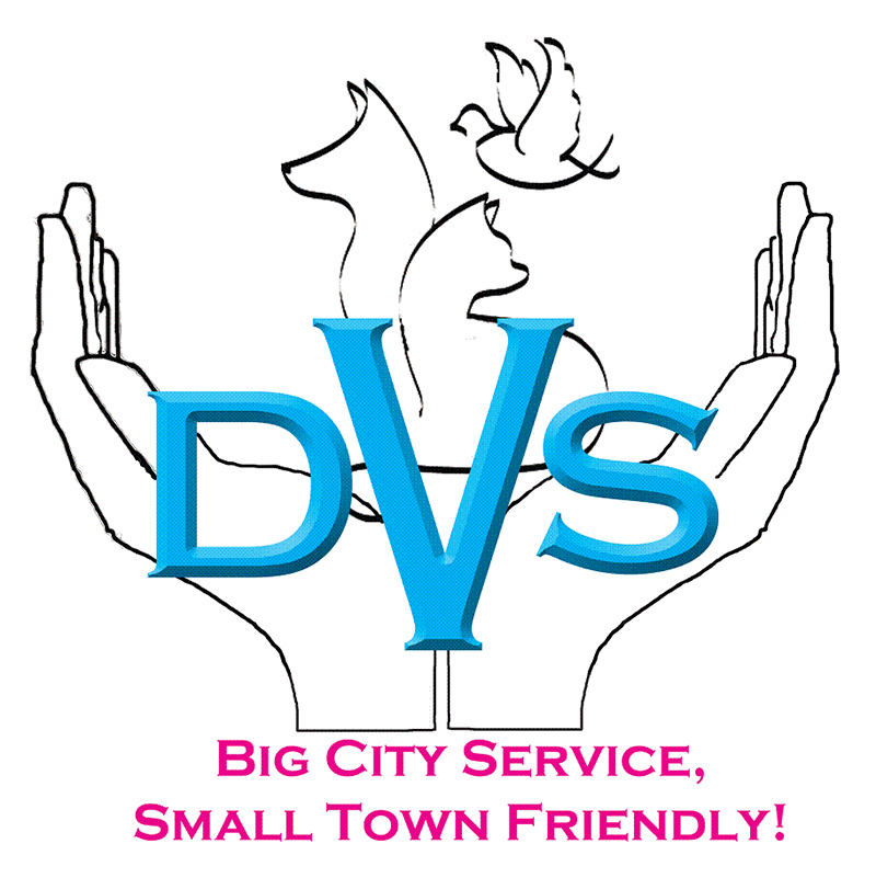 Delisle Veterinary Service logo